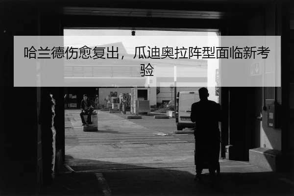 ha-lan-de-shang-yu-fu-chu-gua-di-ao-la-zhen-xing-mian-lin-xin-kao-yan-2-967.jpg