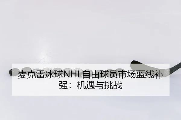 麦克雷冰球NHL自由球员市场蓝线补强：机遇与挑战