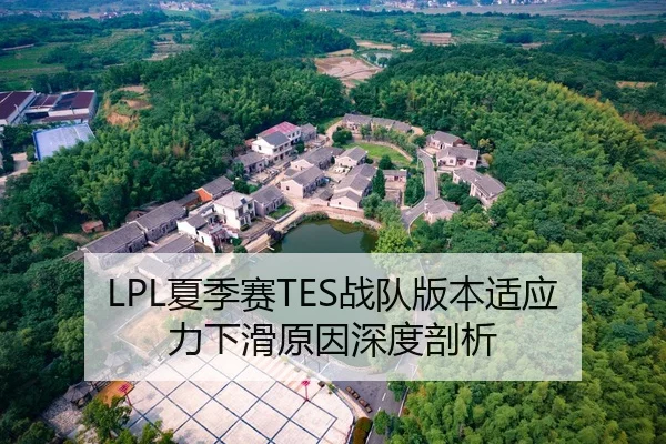 LPL夏季赛TES战队版本适应力下滑原因深度剖析